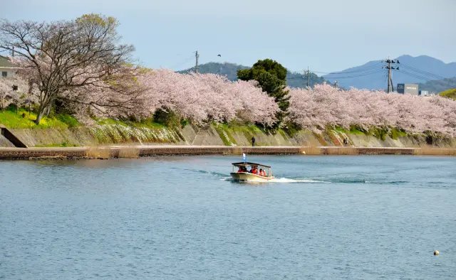 🏭 하기 반사로 (하기한샤로) 이미지 5